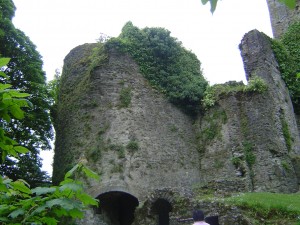 DSC06335
