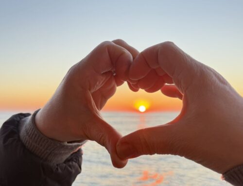 장사하는 집을 만들지 말라(요 2:16)