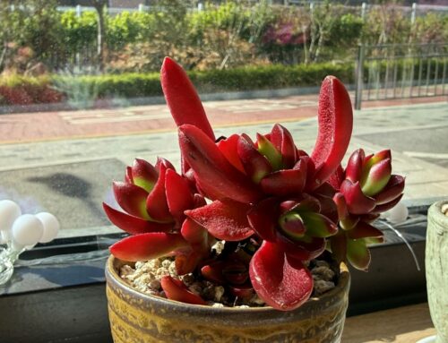 아침 일찍이 일어나(창 22:3)