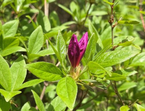 과연 여기 계시거늘(창 28:16)